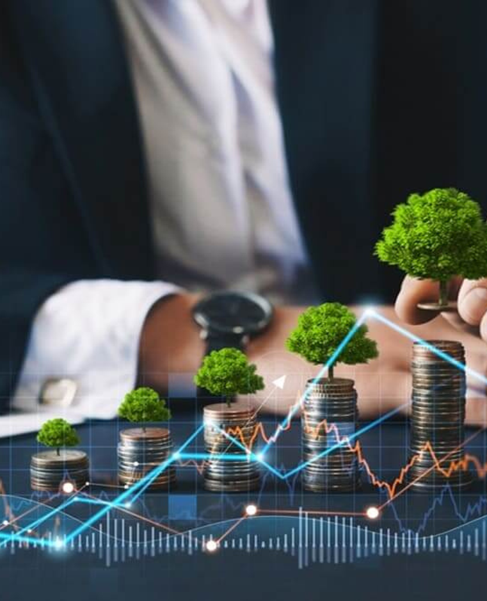 Investicijski rast i zeleni razvoj — financiranje i bespovratna sredstva
